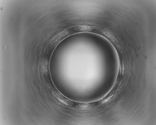 X0000060760325200511141238