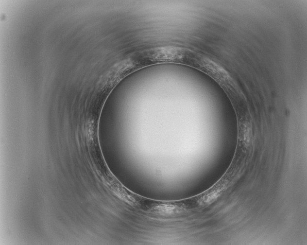 X0000060760326200511141238