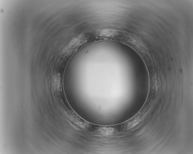 X0000060760328200511141238