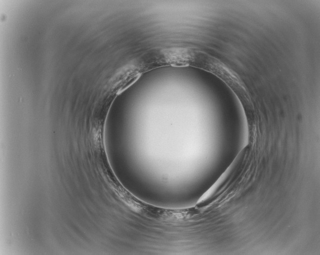 X0000060760329200511141238