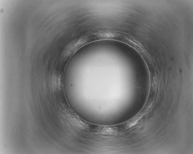 X0000060760330200511141238