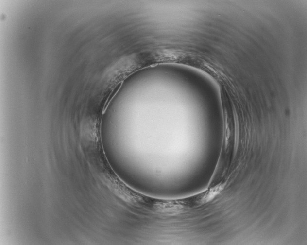 X0000060760331200511141238