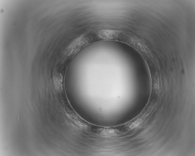 X0000060760332200511141238