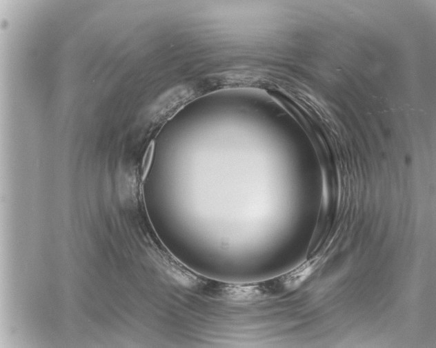 X0000060760333200511141238