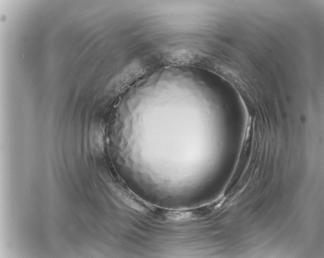 X0000060760334200511141238