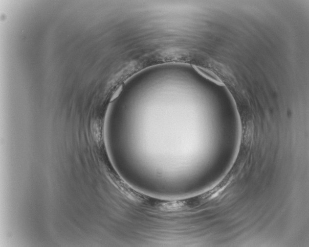 X0000060760335200511141237