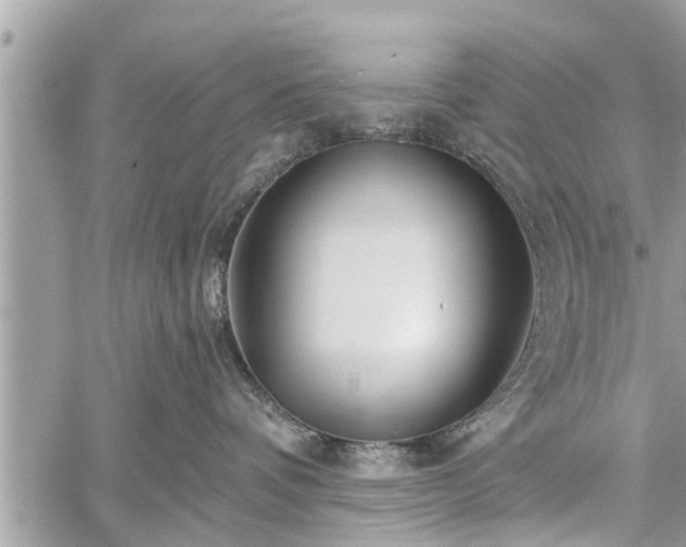 X0000060760336200511141237