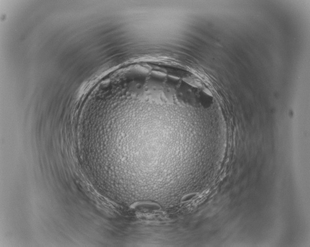 X0000060760337200511141237