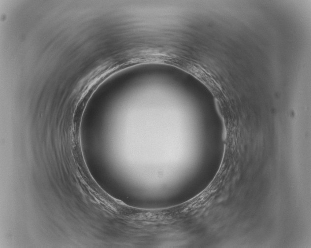 X0000060760338200511141237