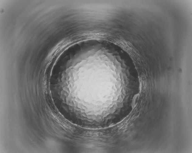 X0000060760339200511141237