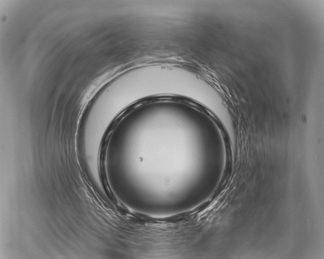 X0000060760340200511141237