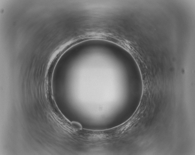 X0000060760342200511141237