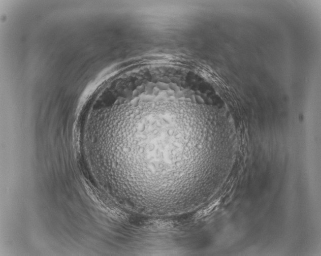 X0000060760343200511141237