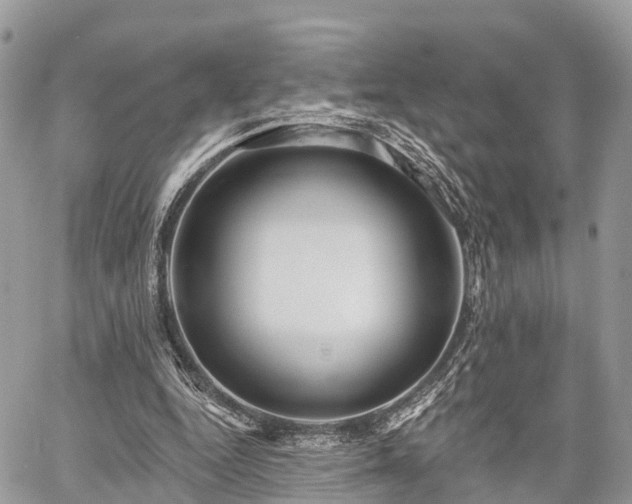 X0000060760344200511141237