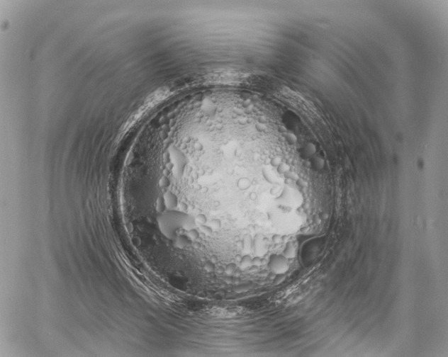 X0000060760346200511141237