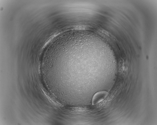 X0000060760347200511141237