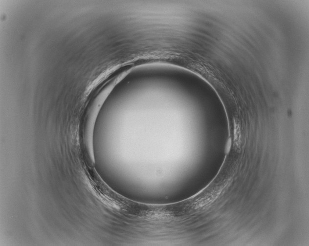 X0000060760348200511141237