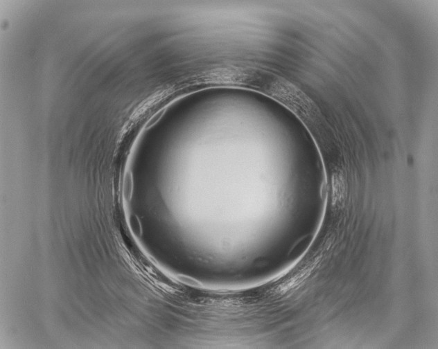 X0000060760349200511141237