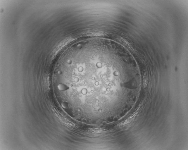 X0000060760351200511141237