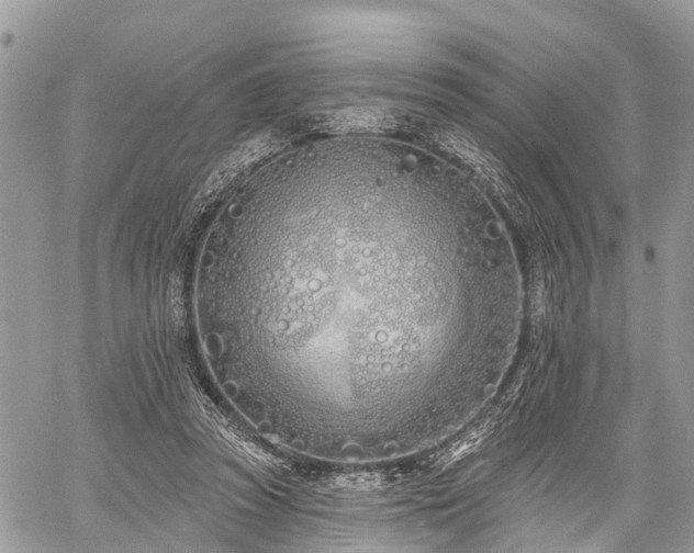 X0000060760353200511141237