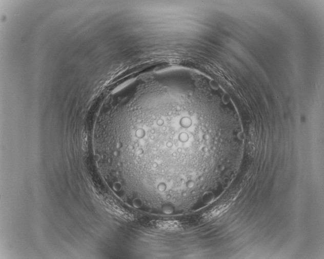 X0000060760355200511141237