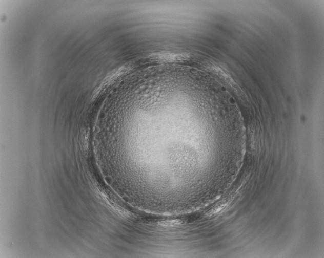 X0000060760357200511141237