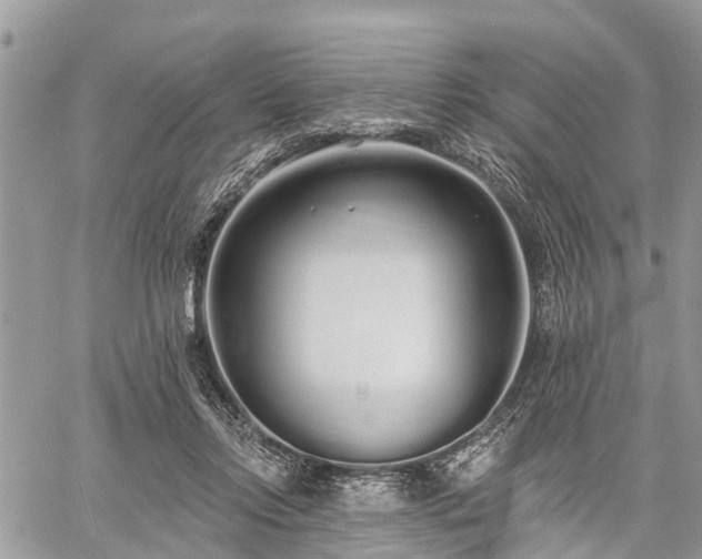 X0000060760358200511141237