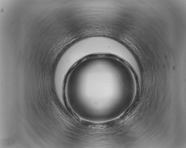 X0000060760359200511141237