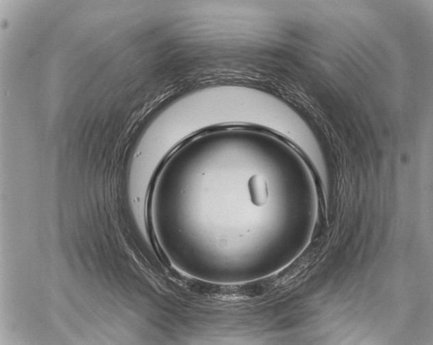 X0000060760360200511141237