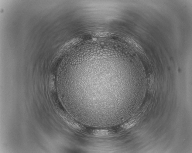 X0000060760361200511141237