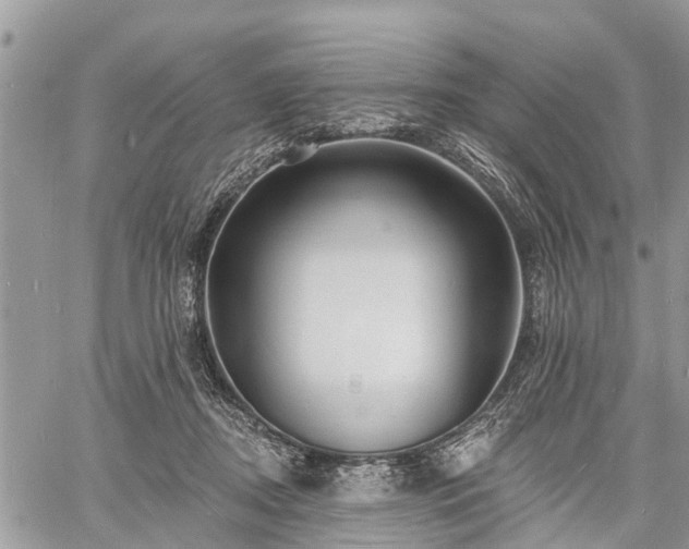 X0000060760362200511141237