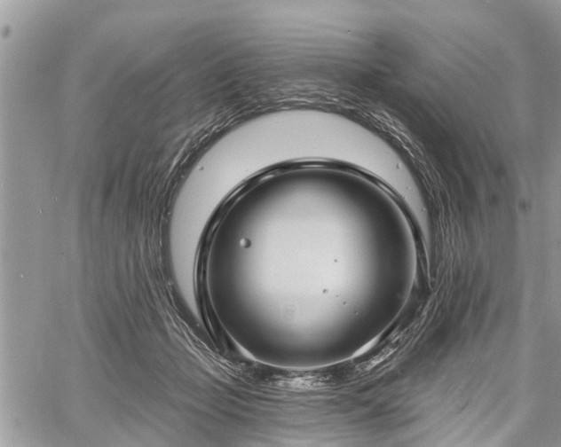 X0000060760365200511141237