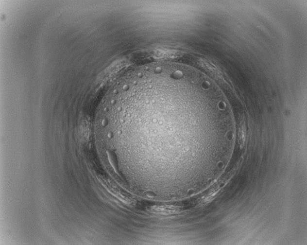 X0000060760367200511141237