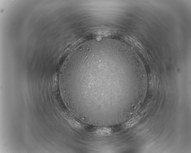 X0000060760369200511141237