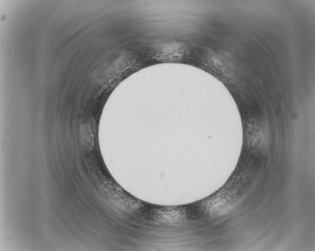 X0000060760370200511141237