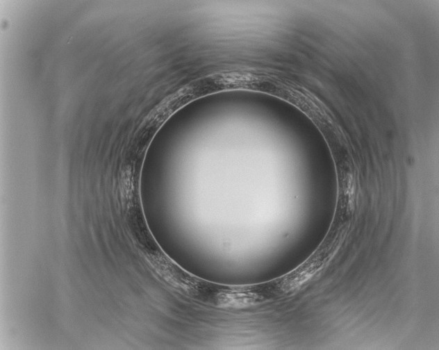 X0000060760372200511141237