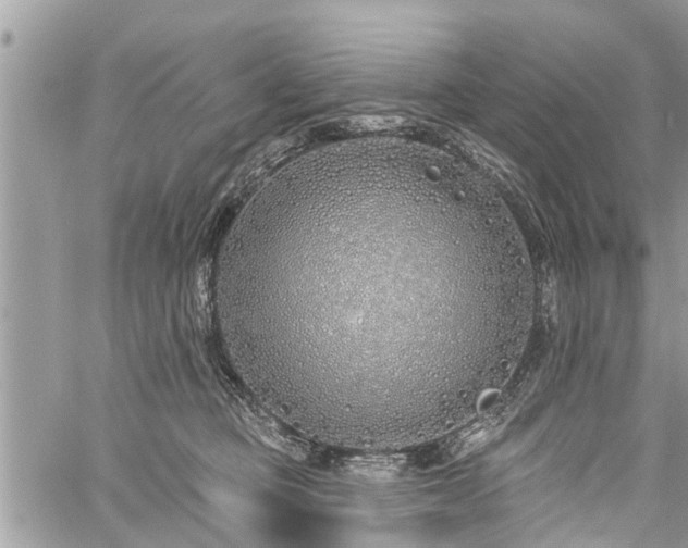 X0000060760373200511141237