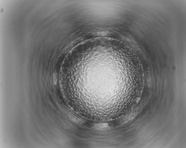 X0000060760374200511141237