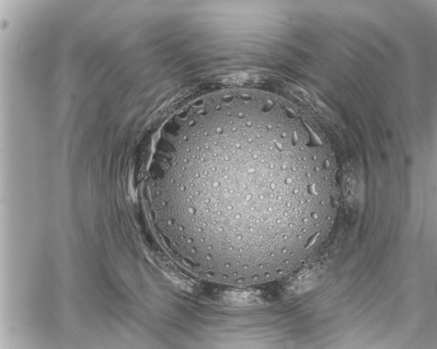 X0000060760375200511141237