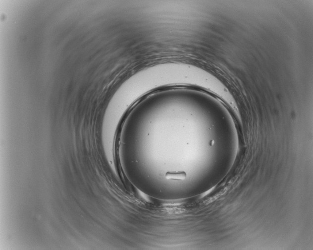 X0000060760376200511141237