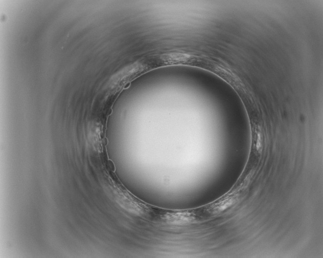 X0000060760378200511141237