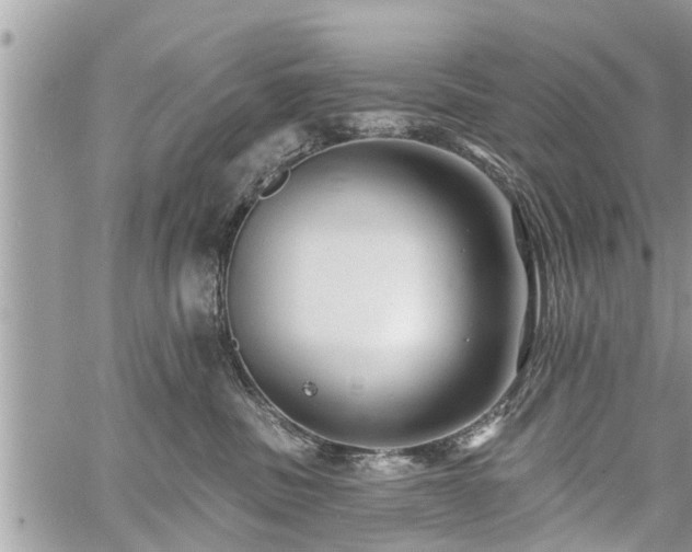 X0000060760379200511141237