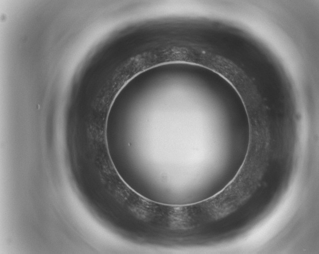 X0000060760382200511141237