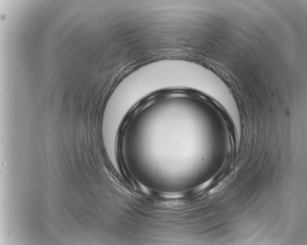 X0000060760383200511141237