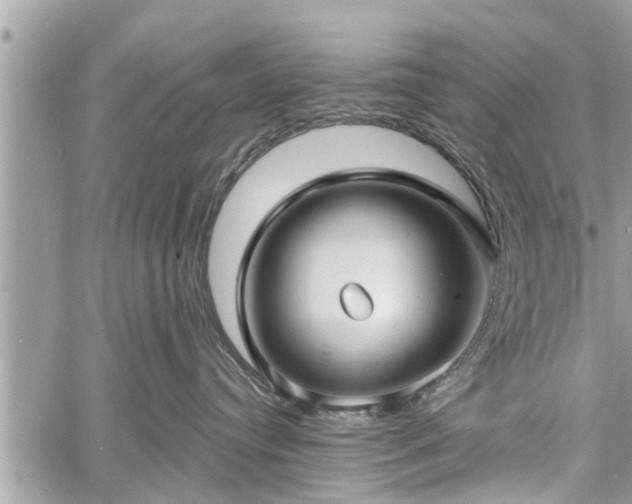 X0000060760384200511141237