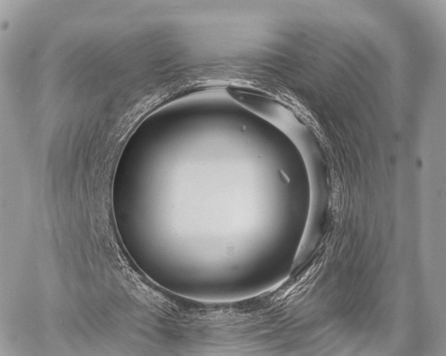 X0000060760385200511141237