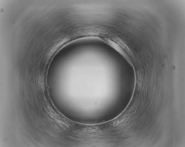 X0000060760386200511141237