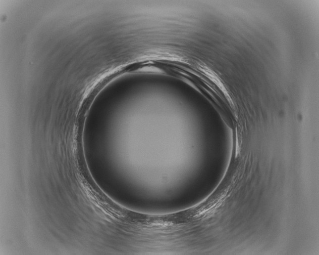 X0000060760387200511141237