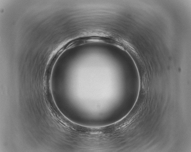 X0000060760388200511141237