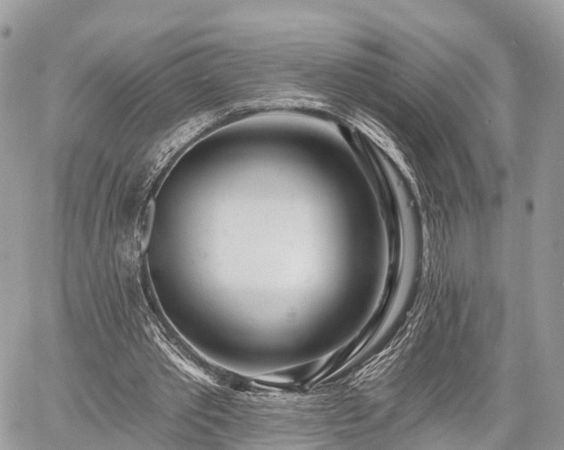 X0000060760389200511141237